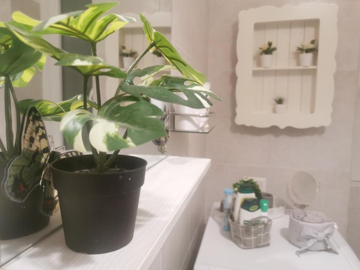 Domus Flavi Apartment Rome Luaran gambar